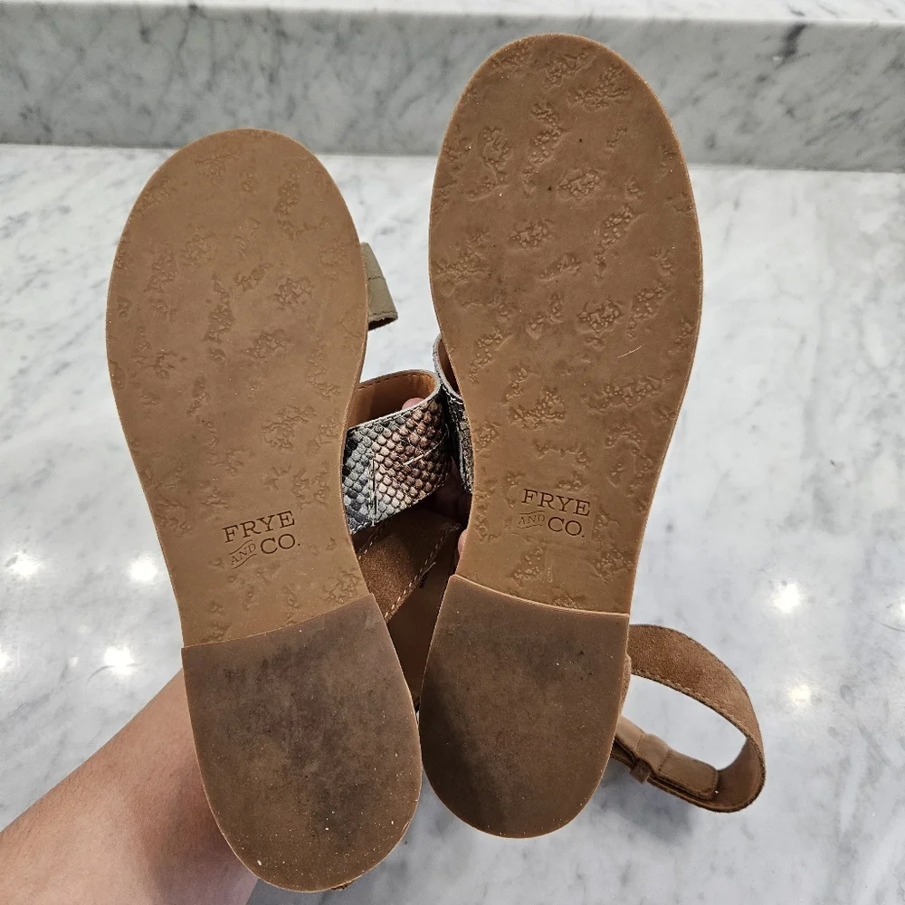 Frye and Co. Women's Evie 2 Band Sandal Flat - Snake Mulit Neutral - SZ 7.5 - Picture 14 of 15